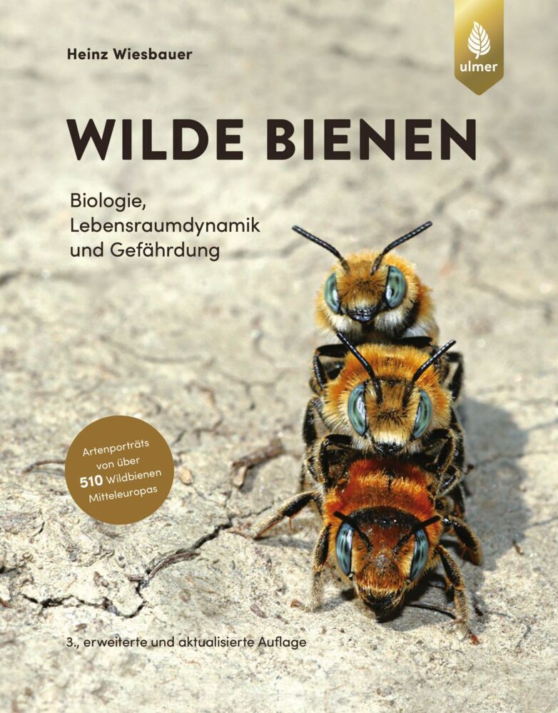 Wilde Bienen (Heinz Wiesbauer)