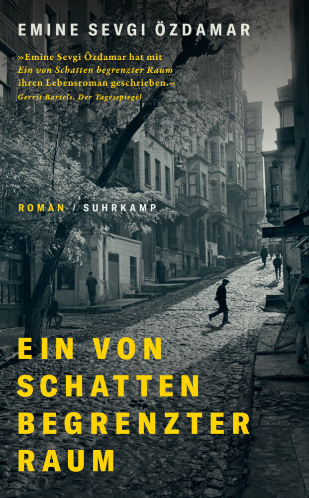 Ein von Schatten begrenzter Raum (Emine Sevgi Özdamar)