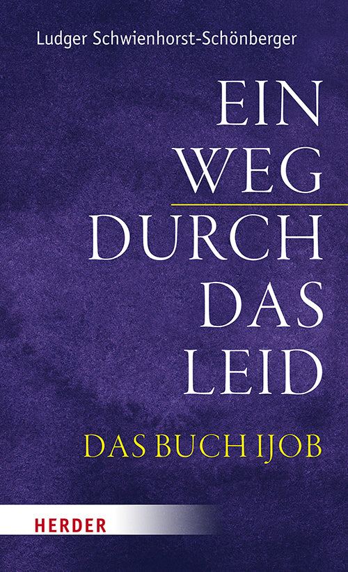 Ein Weg durch das Leid (Ludger Schwienhorst-Schönberger)