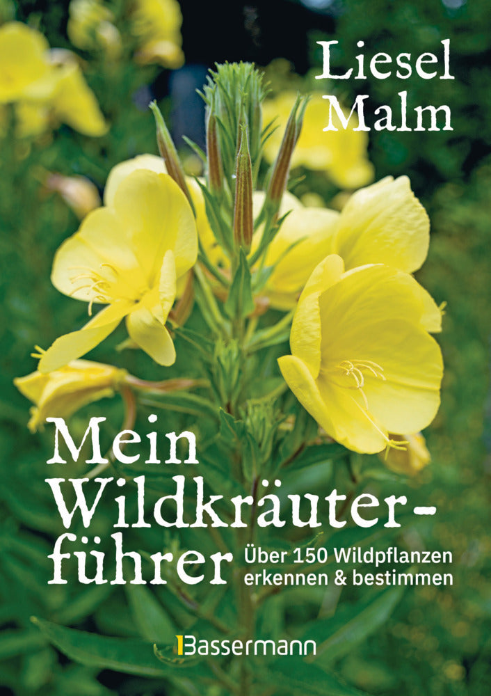 Mein Wildkräuterführer. Über 150 Wildpflanzen sammeln, erkennen & bestimmen. (Liesel Malm)