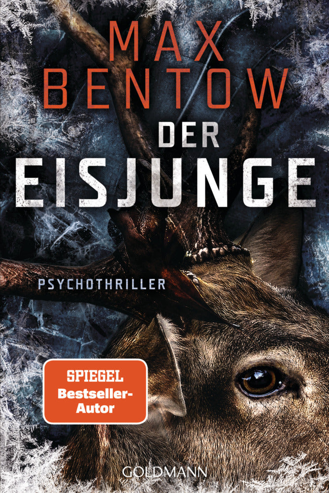 Der Eisjunge (Max Bentow)