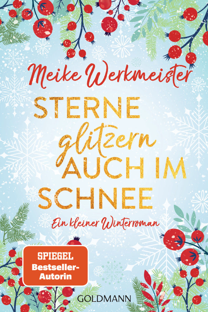 Sterne glitzern auch im Schnee (Meike Werkmeister)