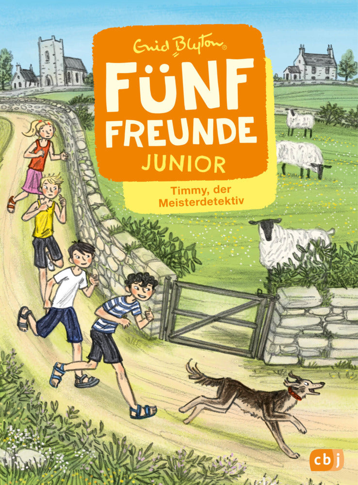 Fünf Freunde JUNIOR - Timmy, der Meisterdetektiv (Enid Blyton)