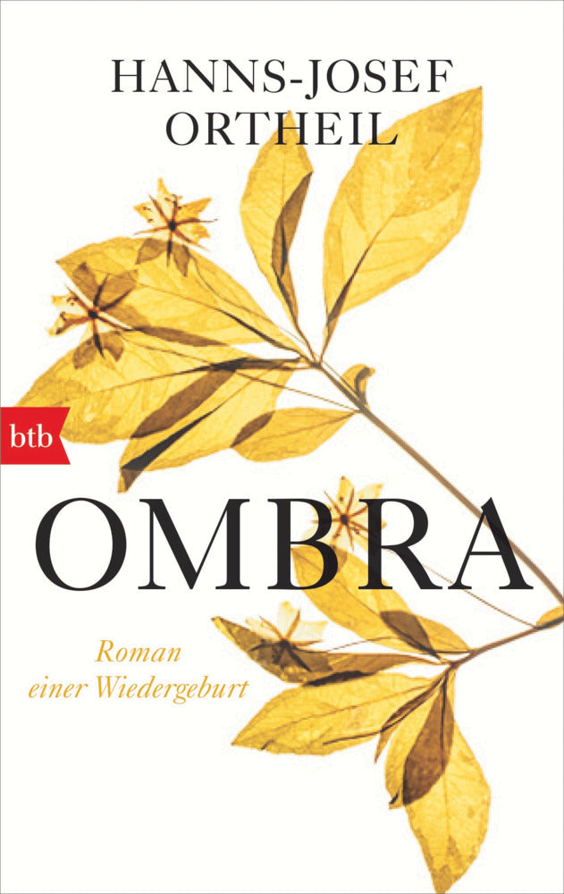 Ombra (Hanns-Josef Ortheil)