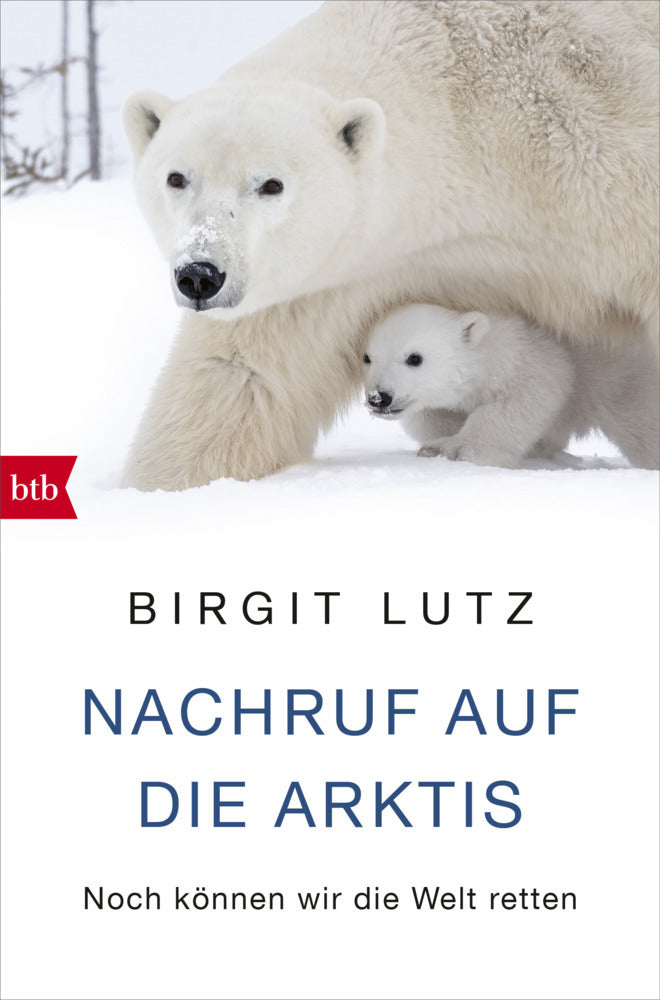 Nachruf auf die Arktis (Birgit Lutz)