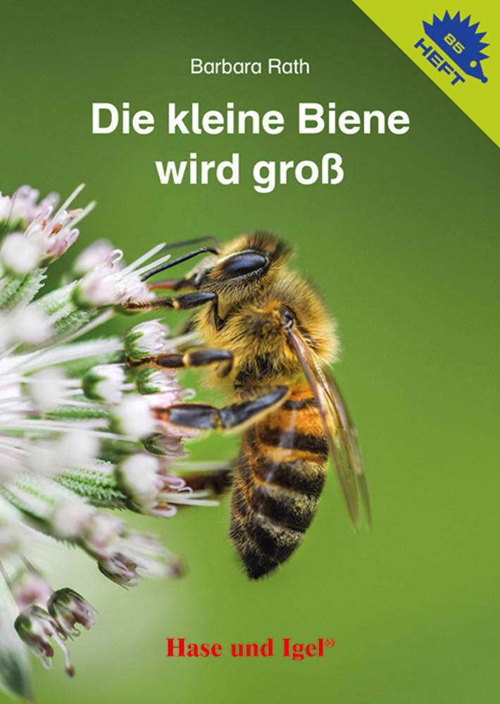 Die kleine Biene wird groß / Igelheft 85 (Barbara Rath)