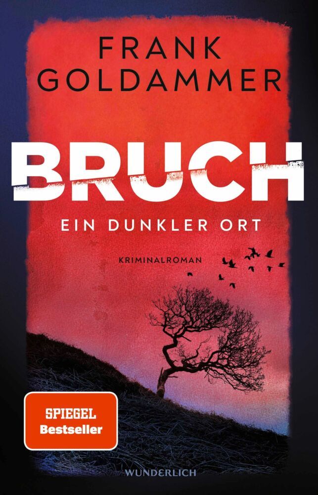 Bruch: Ein dunkler Ort (Frank Goldammer)