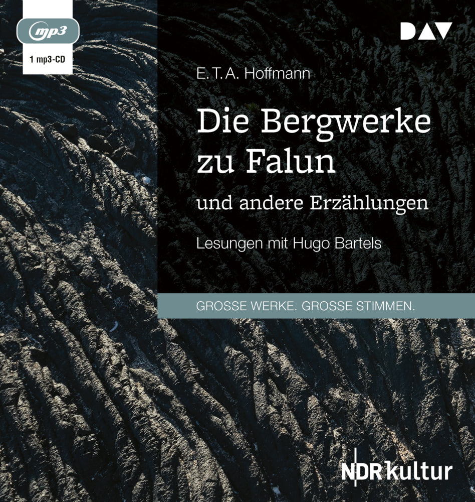 Die Bergwerke zu Falun und andere Erzählungen, 1 Audio-CD, 1 MP3 (E. T. A. Hoffmann)