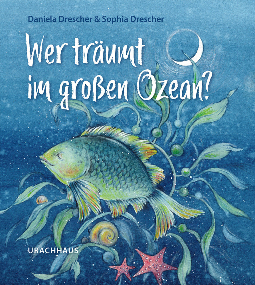 Wer träumt im großen Ozean? (Daniela Drescher)
