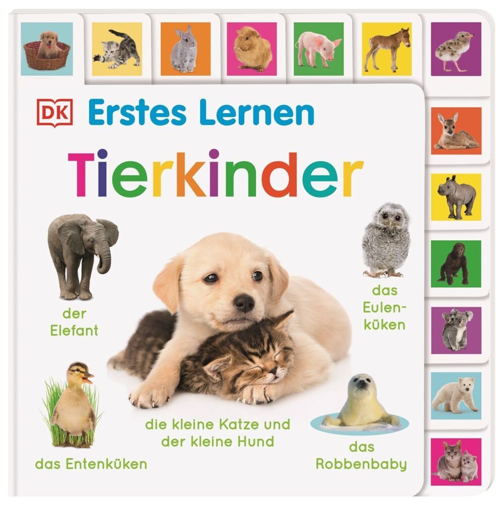 Erstes Lernen. Tierkinder (Dk Erstes Lernen)