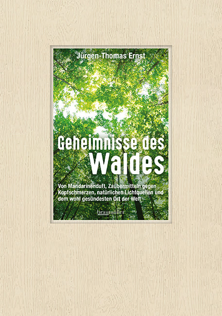 Geheimnisse des Waldes (Jürgen-Thomas Ernst)