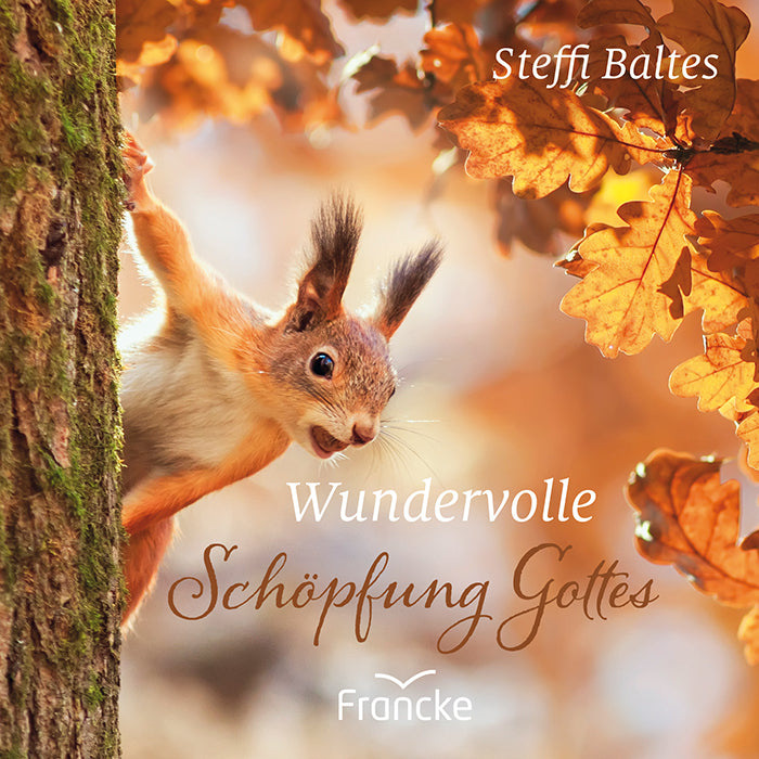 Wundervolle Schöpfung Gottes (Steffi Baltes)