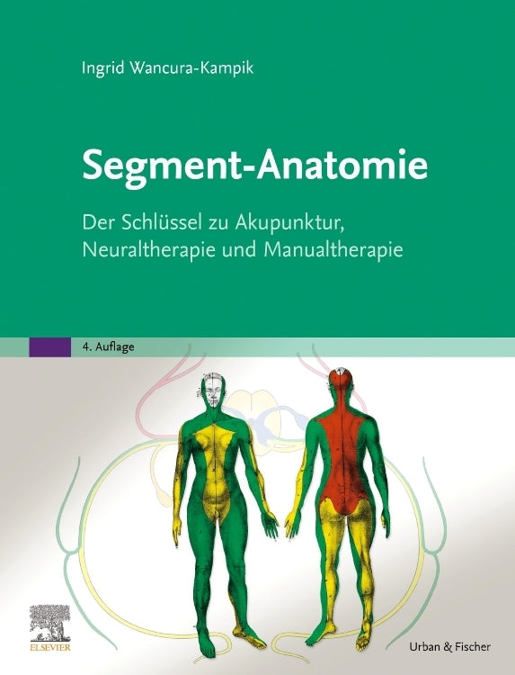 Segment-Anatomie (Ingrid Wancura-Kampik)