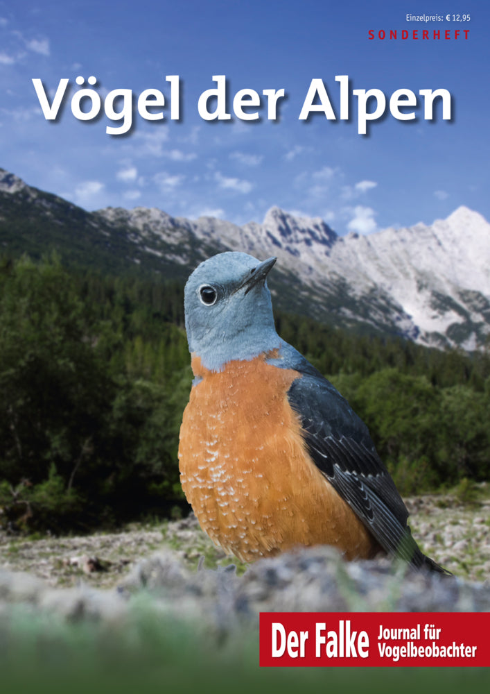 Vögel der Alpen (Redaktion Der Falke)