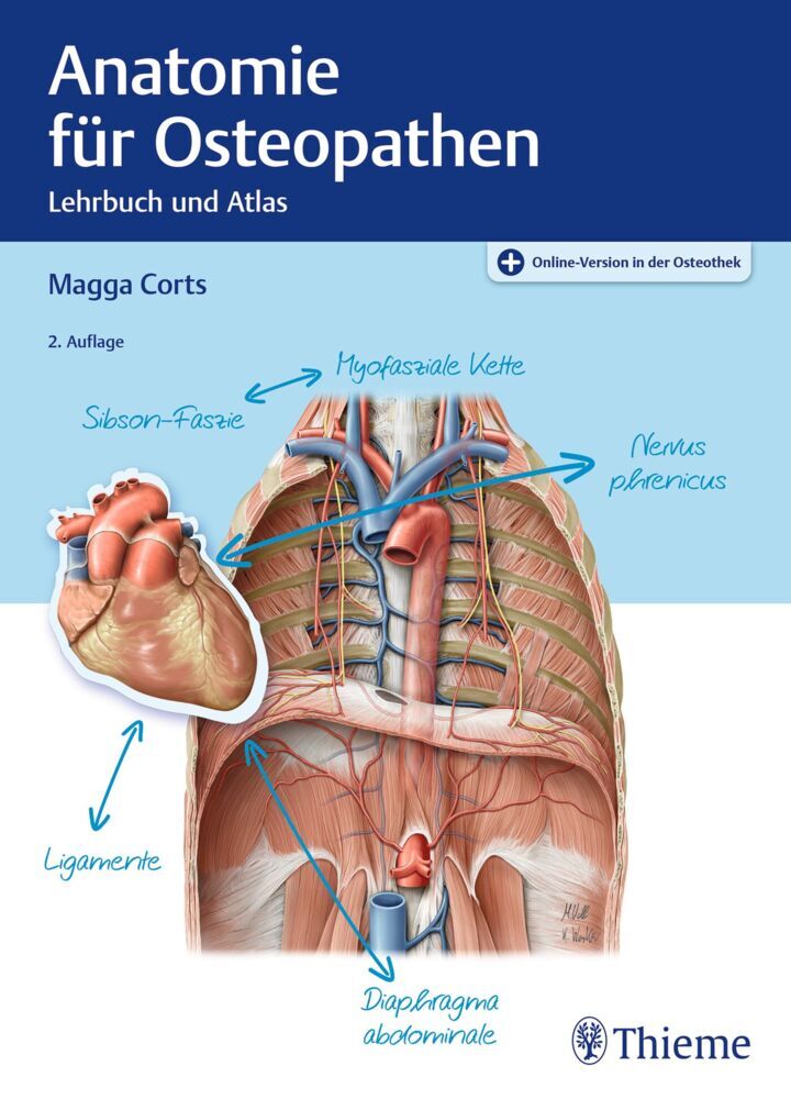 Anatomie für Osteopathen (Magga Corts)