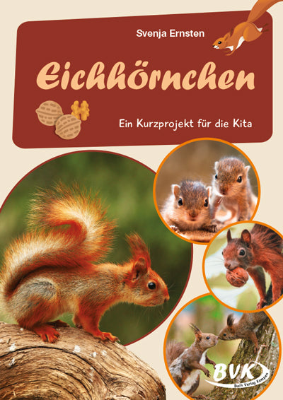 Eichhörnchen (Svenja Ernsten)