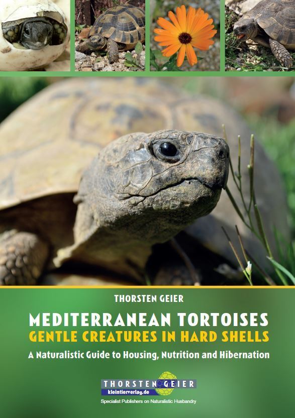 Mediterranean Tortoises: Gentle Creatures in Hard Shells (Thorsten Geier)