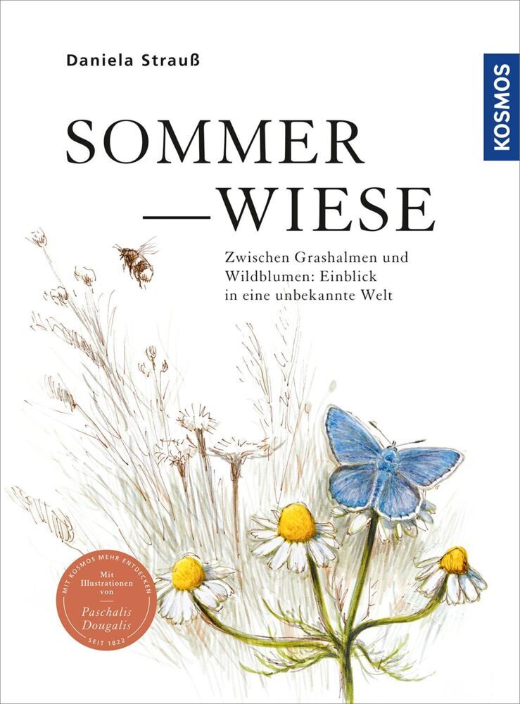 Sommerwiese (Daniela Strauß)