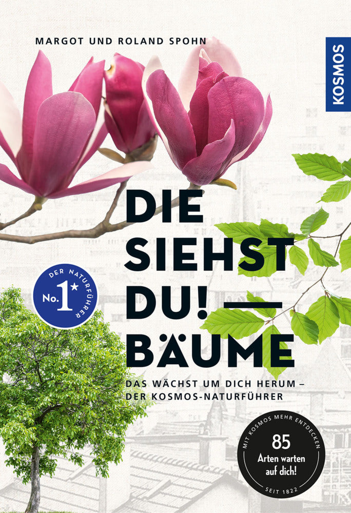 Die siehst du! Bäume (Margot Spohn)