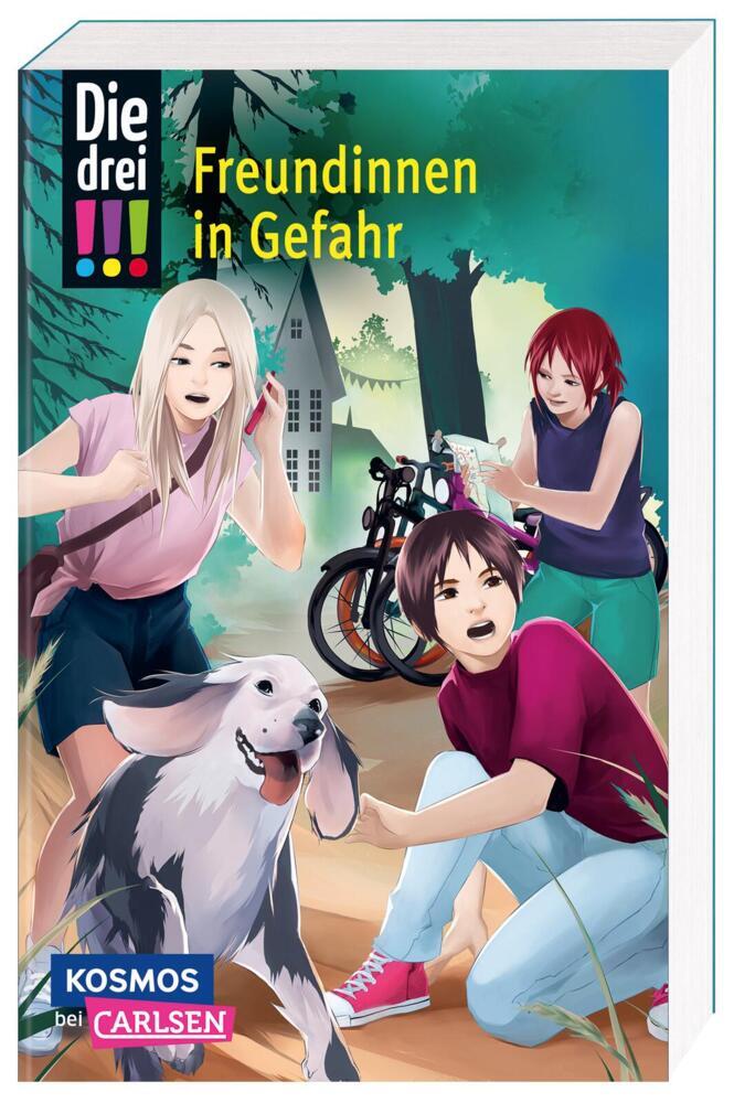 Die drei !!! 50: Freundinnen in Gefahr (Maja Von Vogel)