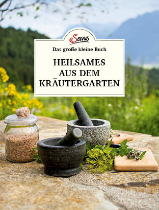 Das große kleine Buch: Heilsames aus dem Kräutergarten (Karin Buchart)