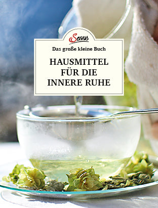 Das große kleine Buch: Hausmittel für die innere Ruhe (Karin Buchart)