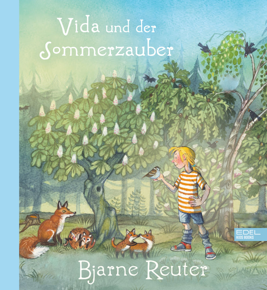 Vida und der Sommerzauber (Bjarne Reuter)