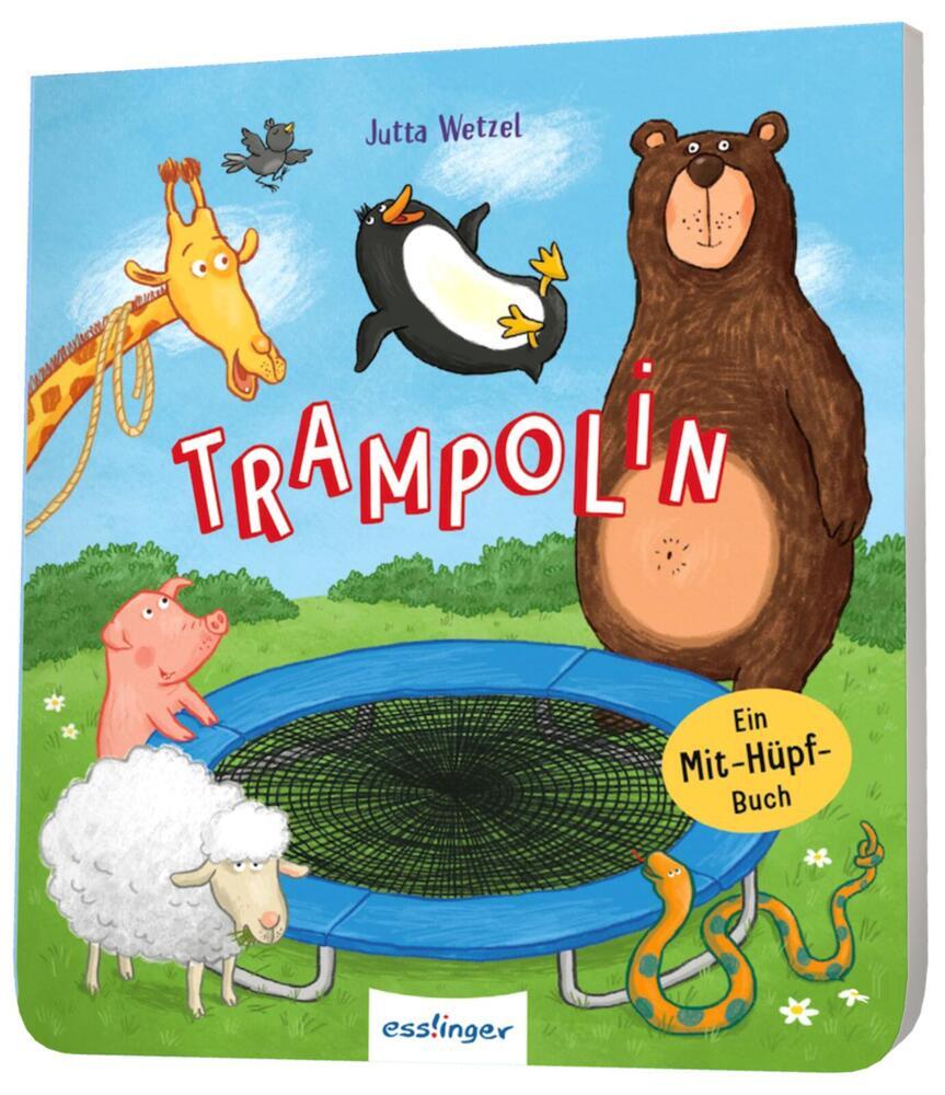 Trampolin (Jutta Wetzel)