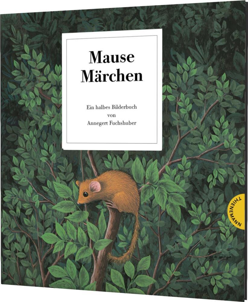 Mausemärchen - Riesengeschichte (Annegert Fuchshuber)