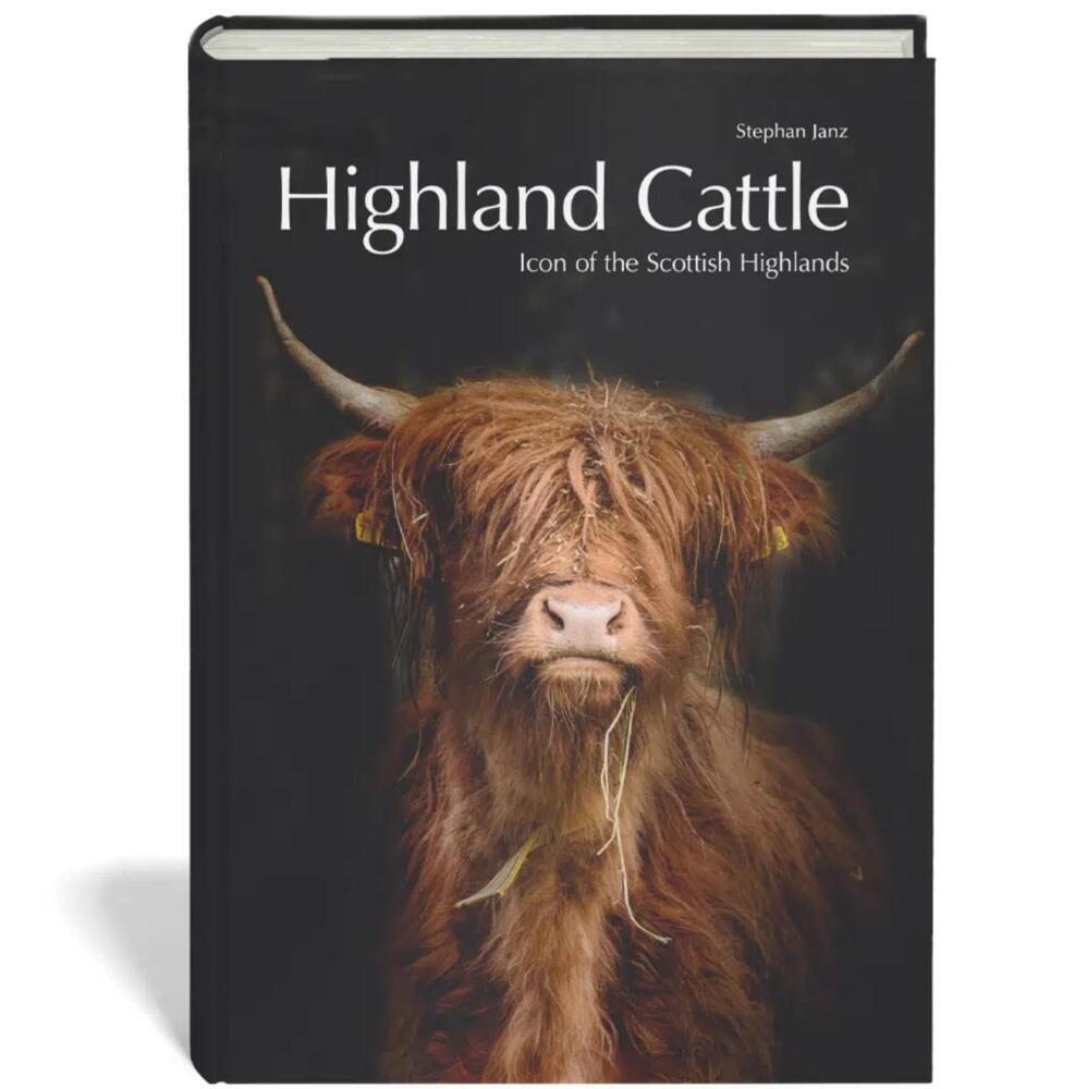 Highland Cattle (Stephan Janz)
