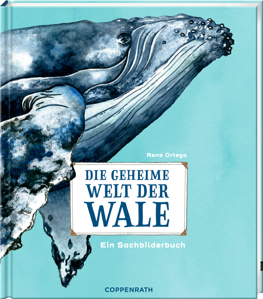Die geheime Welt der Wale (Rena Ortega)
