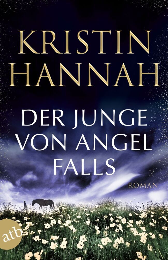 Der Junge von Angel Falls (Kristin Hannah)