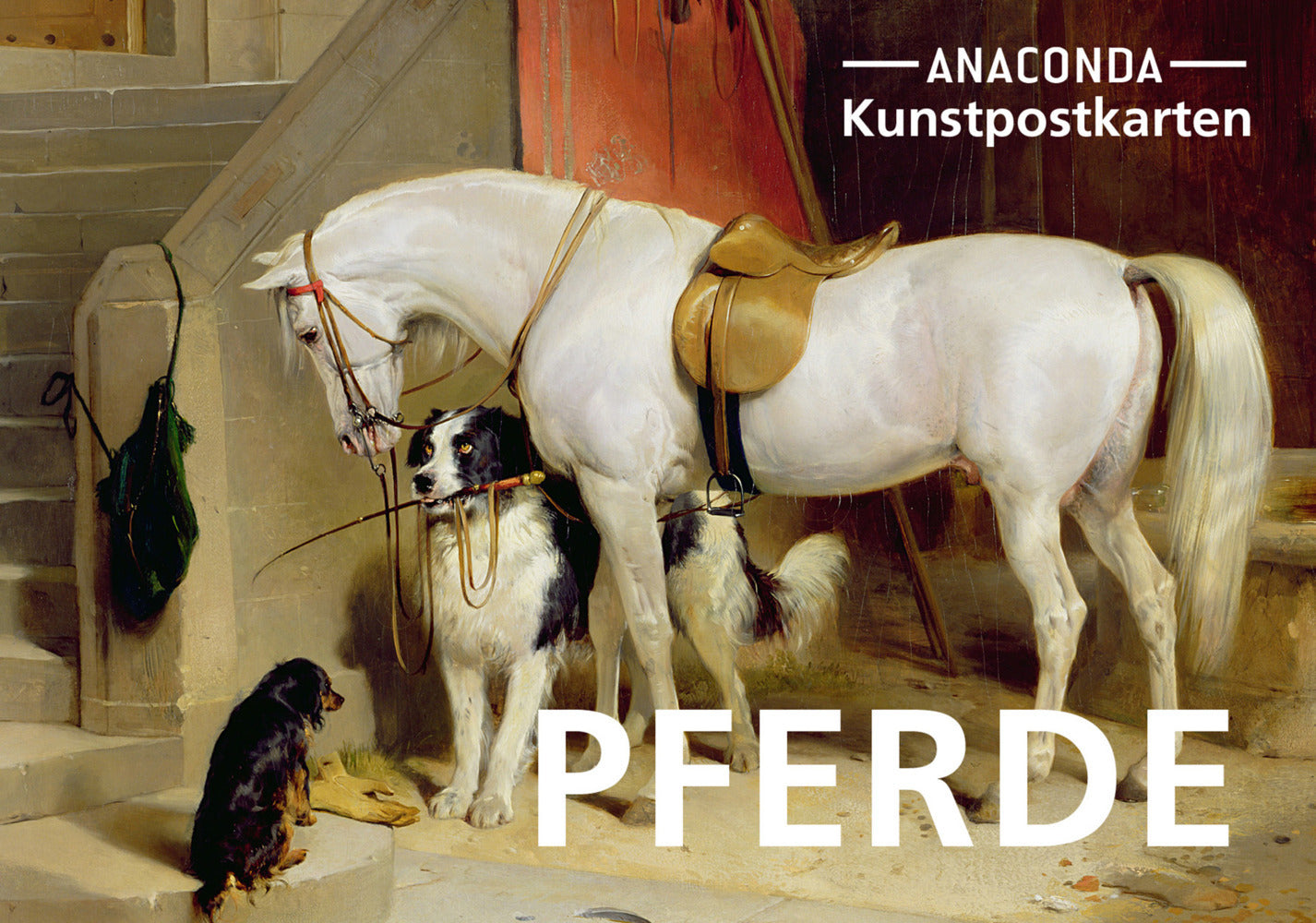 Postkarten-Set Pferde (Anaconda Verlag)