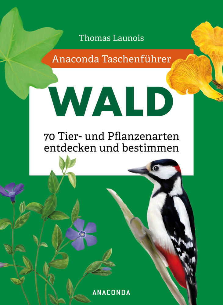 Anaconda Taschenführer Wald - 70 Tier- und Pflanzenarten entdecken und bestimmen (Thomas Launois)