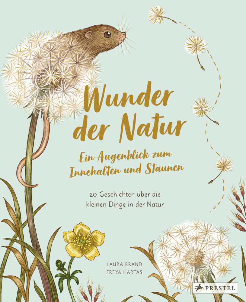 Wunder der Natur. Ein Augenblick zum Innehalten und Staunen (Laura Brand)