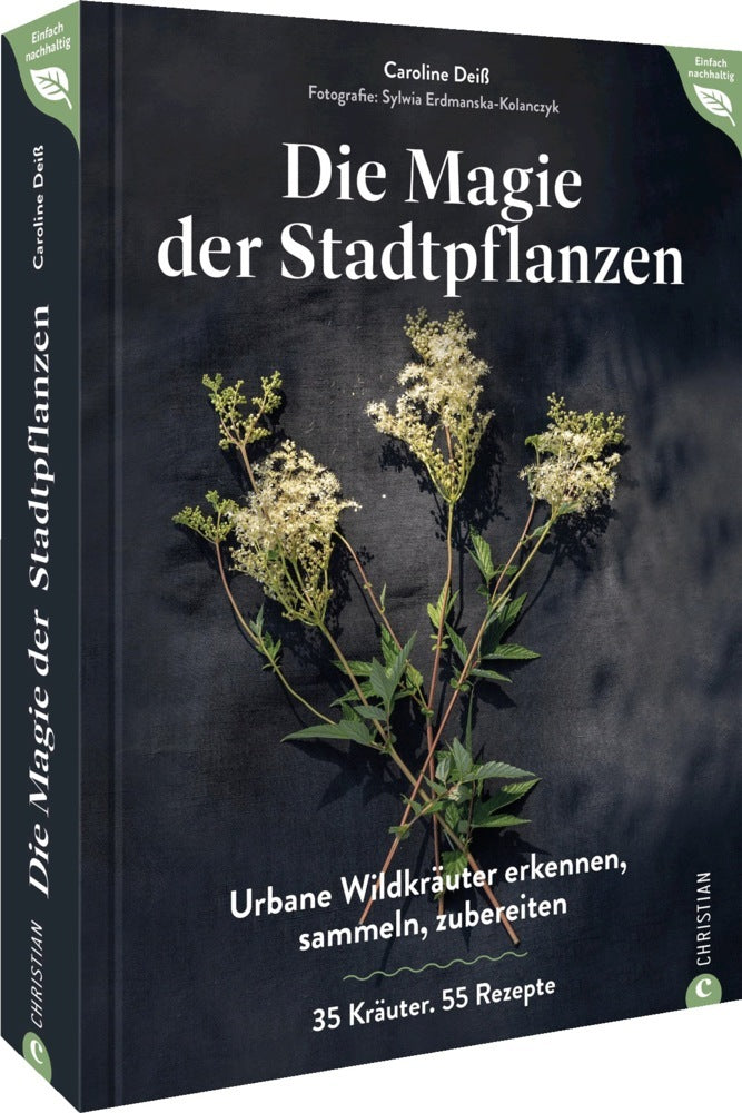 Magie der Stadtpflanzen (Caroline Deiß)