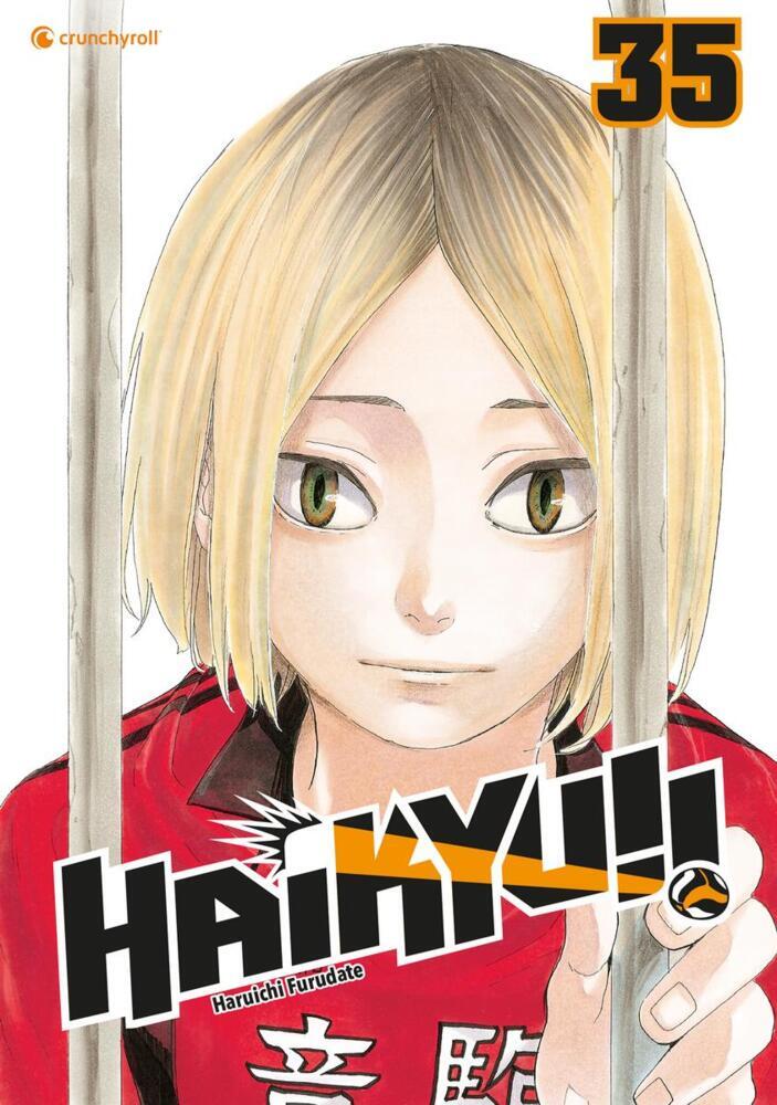 Haikyu!! - Band 35 (Haruichi Furudate)