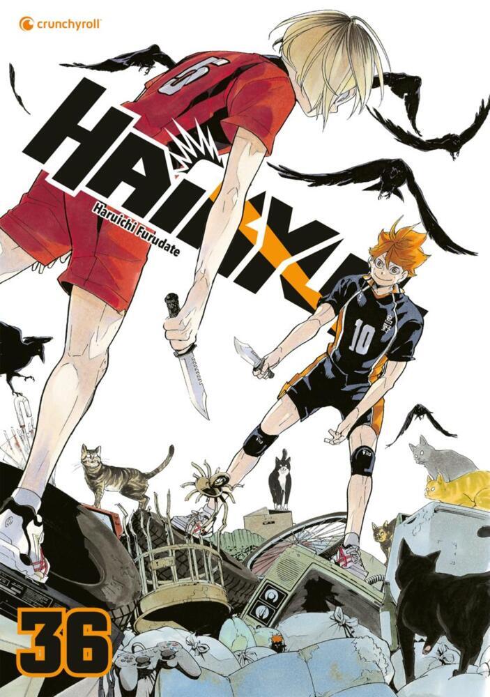 Haikyu!! - Band 36 (Haruichi Furudate)