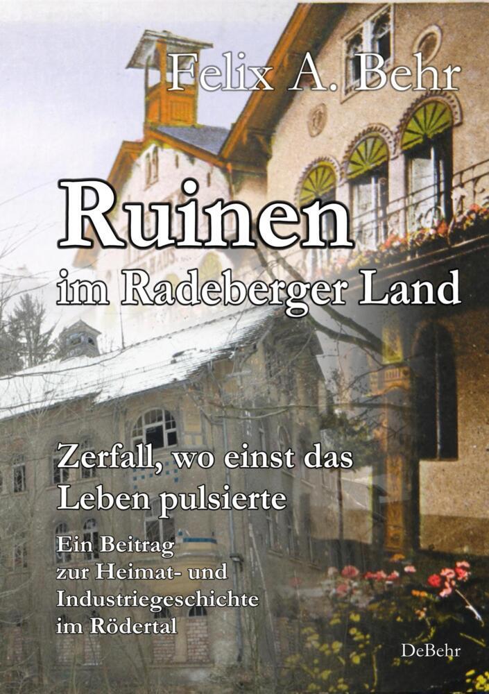Ruinen im Radeberger Land - Zerfall, wo einst das Leben pulsierte - Ein Beitrag zur Heimat- und Industriegeschichte im Rödertal (Felix A. Behr)