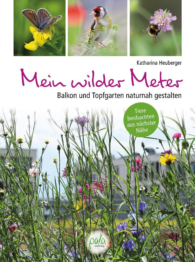 Mein wilder Meter (Katharina Heuberger)