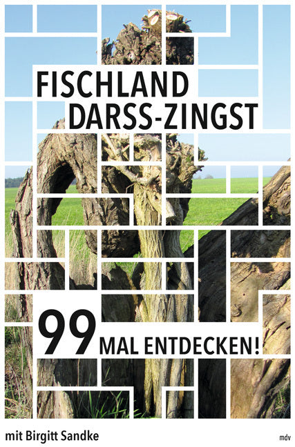 Fischland-Darß-Zingst 99 Mal entdecken! (Birgitt Sandke)
