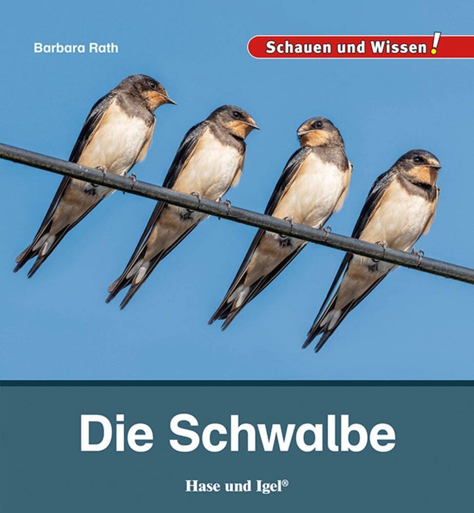 Die Schwalbe (Barbara Rath)
