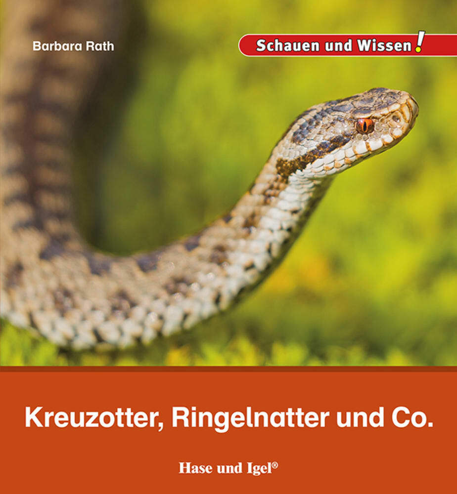 Kreuzotter, Ringelnatter und Co. (Barbara Rath)
