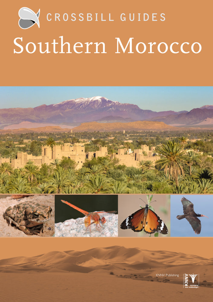 Southern Morocco (Martin Pitt)