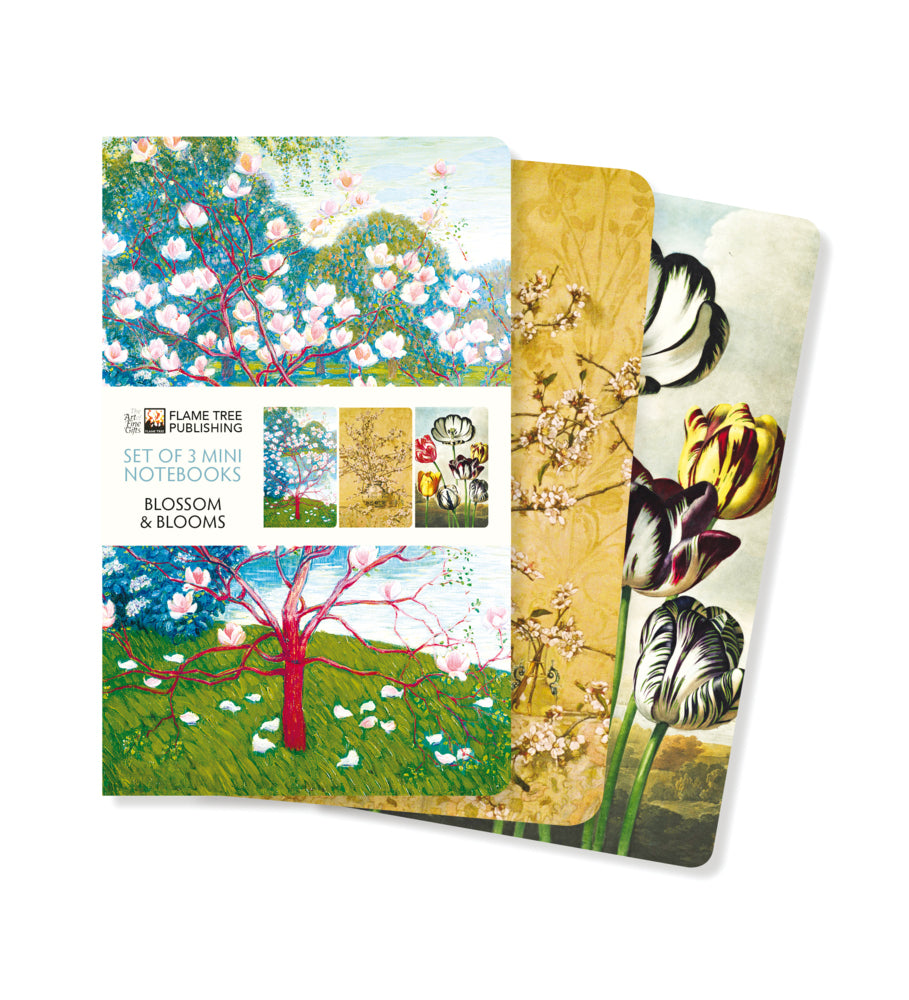 Dreier Set Mini-Notizbücher: Blüten und Blumen (Flame Tree Publishing)