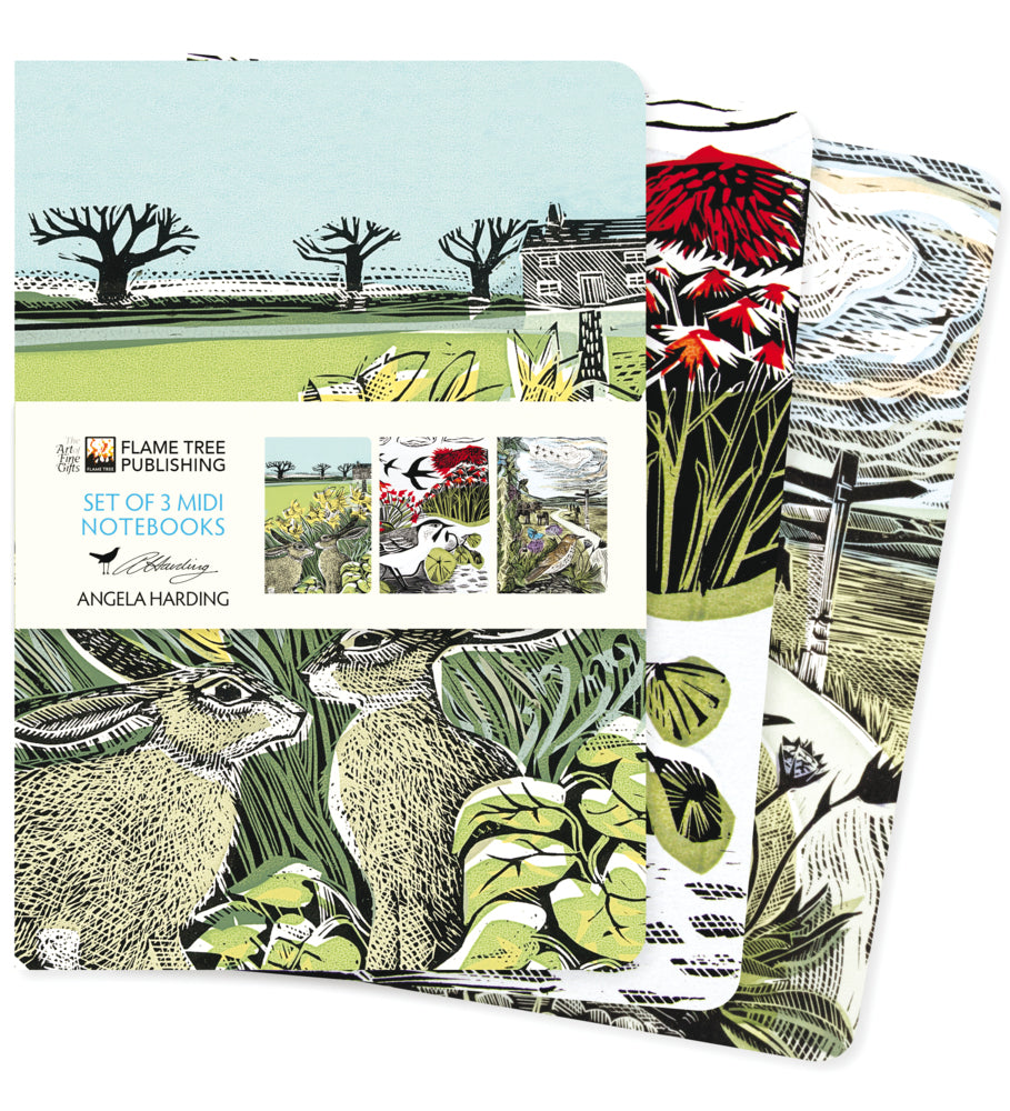 Dreier Set Mittelformat-Notizbücher: Angela Harding, Landschaften (Flame Tree Publishing)