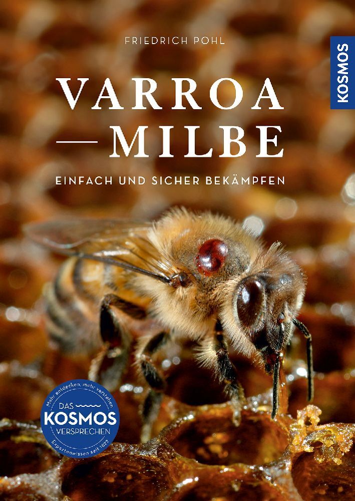 Varroamilbe (Friedrich Pohl)