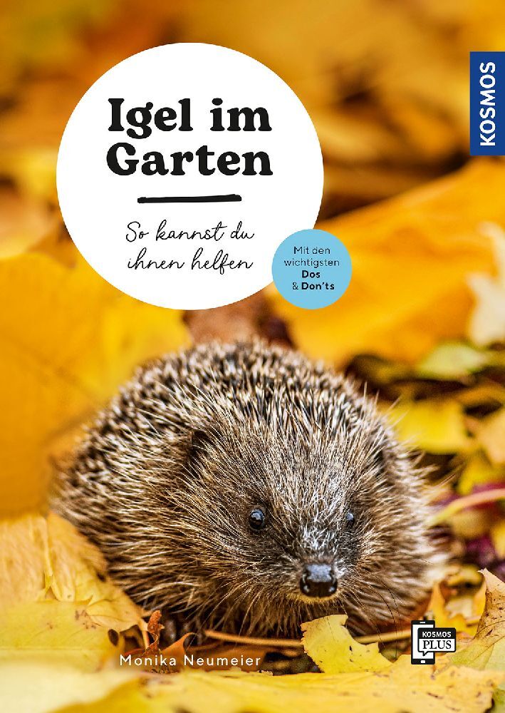 Igel im Garten (Monika Neumeier)