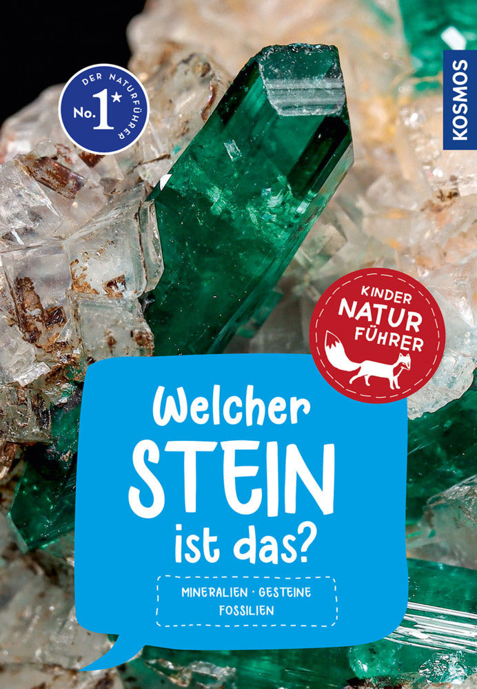 Welcher Stein ist das? Kindernaturführer (Rupert Hochleitner)