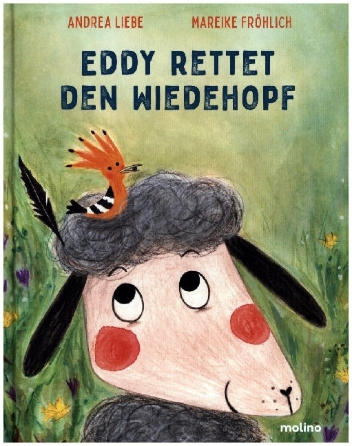 Eddy rettet den Wiedehopf (Mareike Fröhlich)